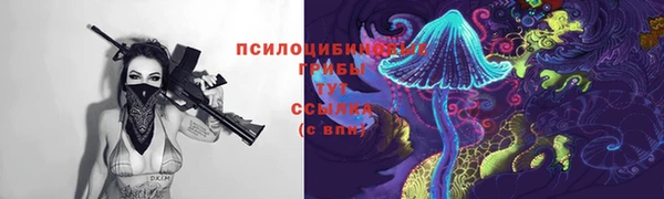 прущий лед Осташков