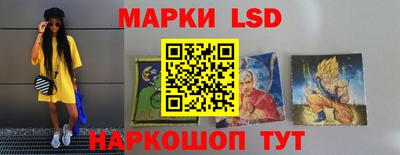 spice Камышлов