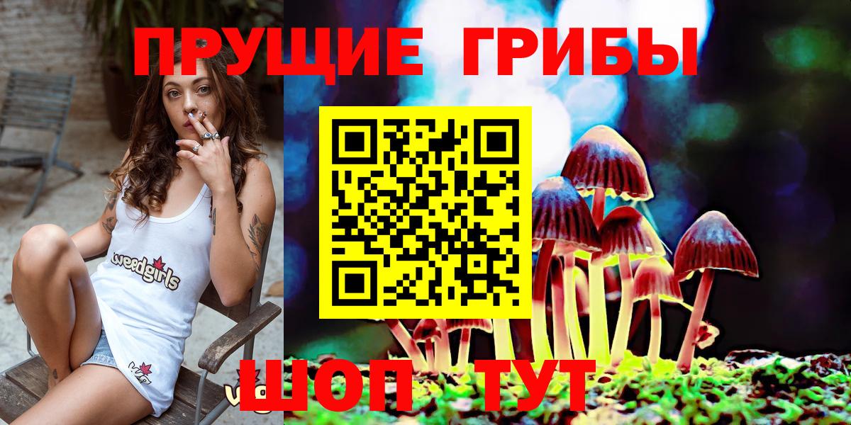 Тула  Галлюциногенные грибы Cubensis  Вход с VPN  Псилоцибиновые грибы прущие грибы 
