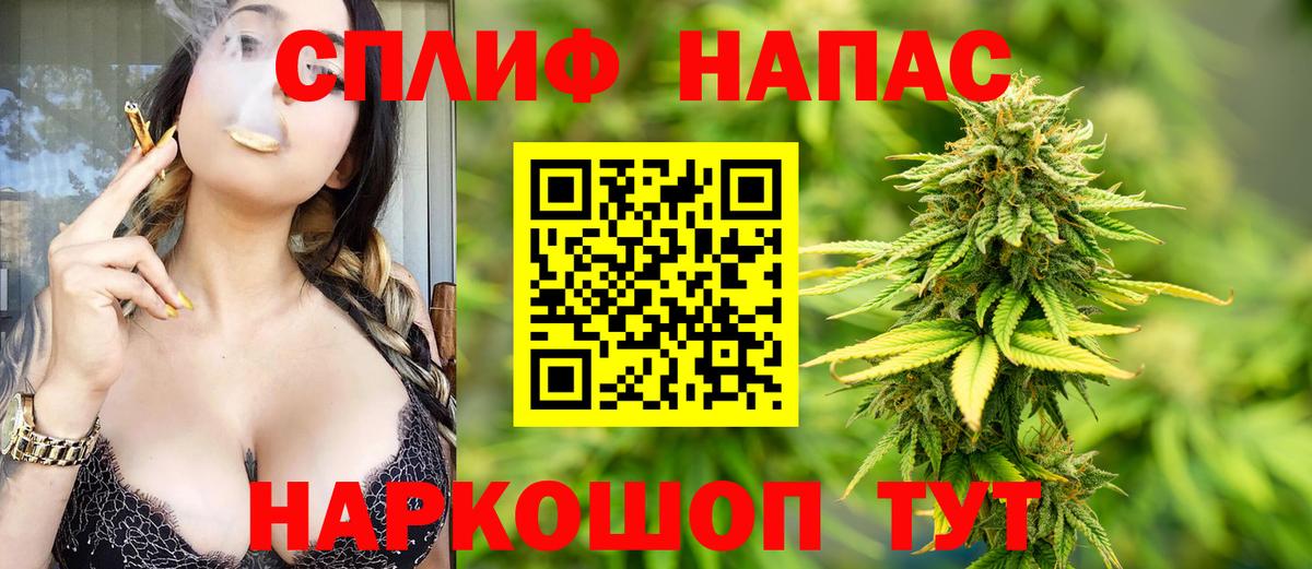 Конопля гибрид Тула